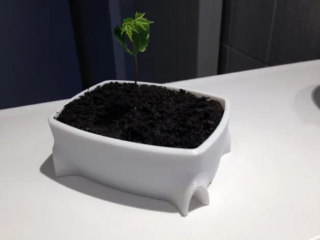 STL - Macetas para Bonsai Modernas render 5