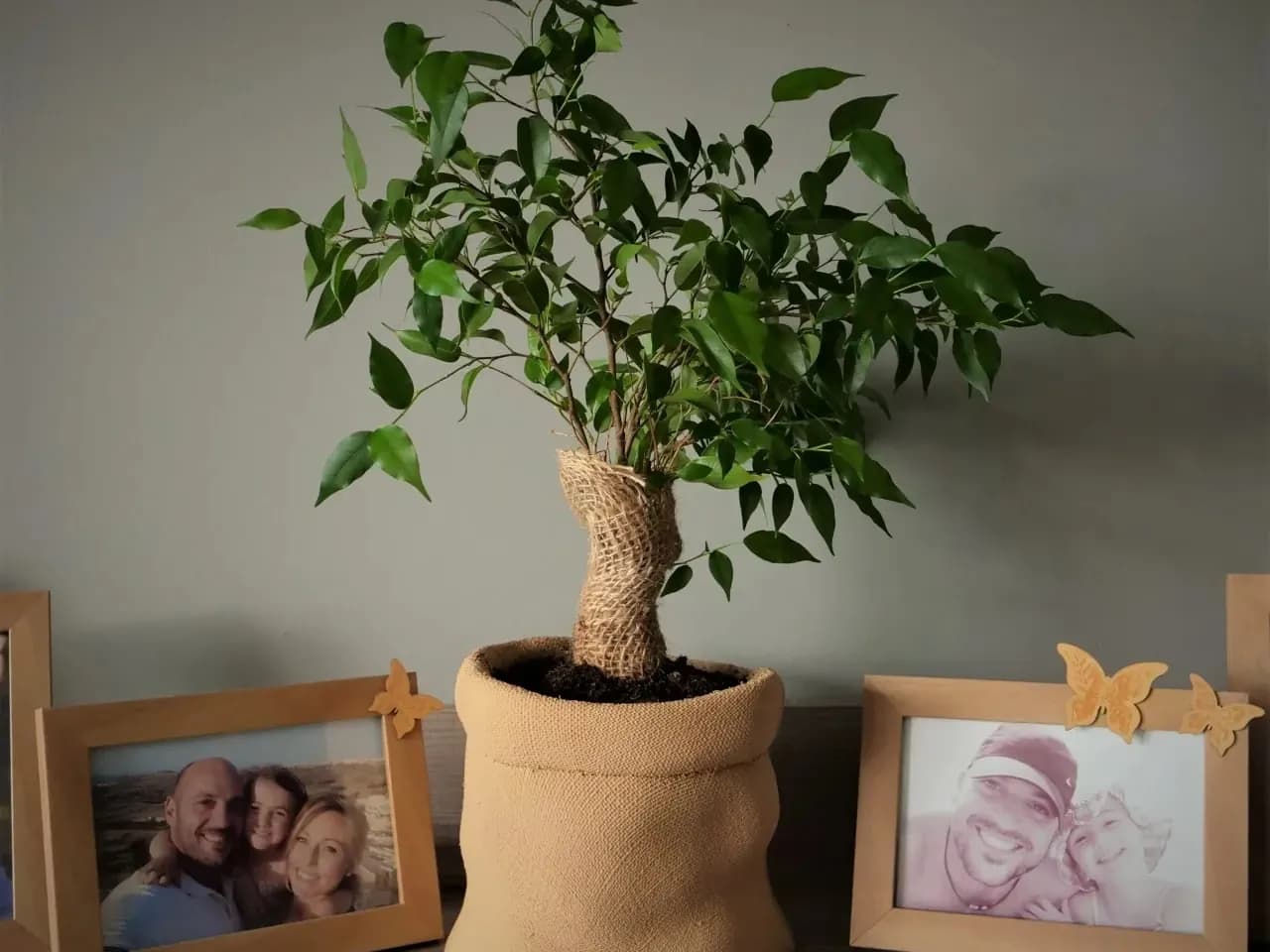 STL - Macetero de Yute Estilo Rústico