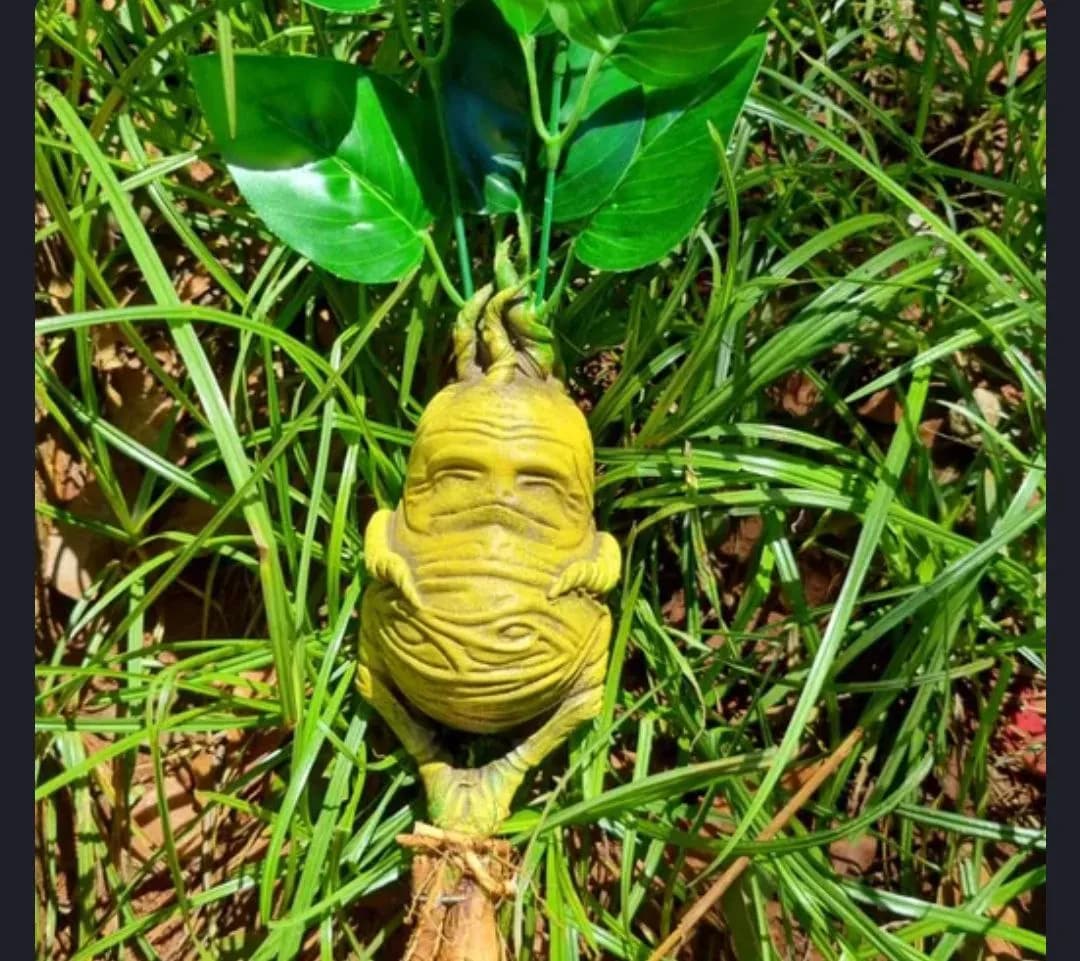STL - Mandrake