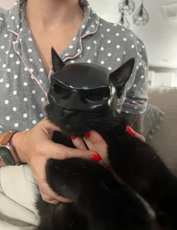 STL - Máscara de Batman para gato render 3