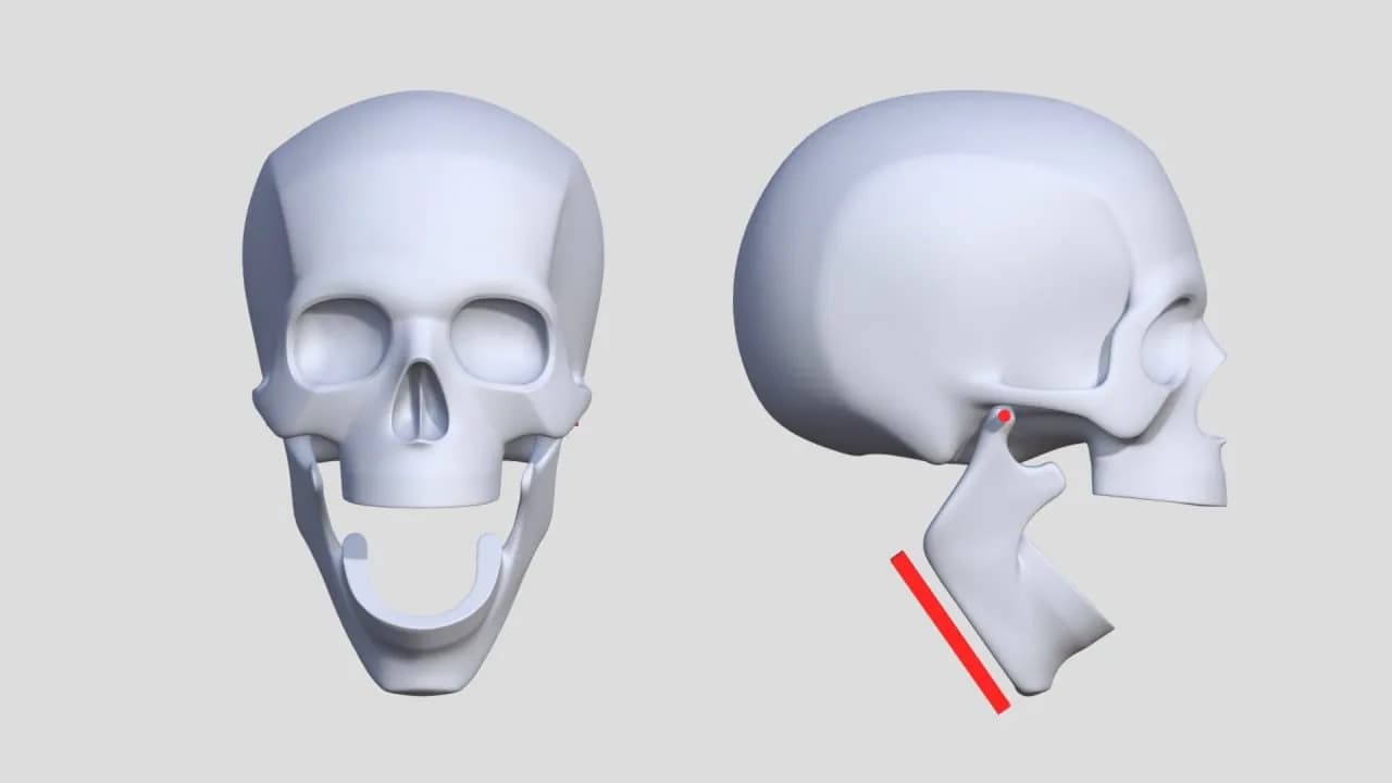 STL - modelo de craneo humano