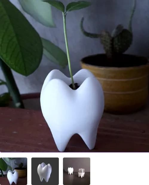 STL - Molar maceta
