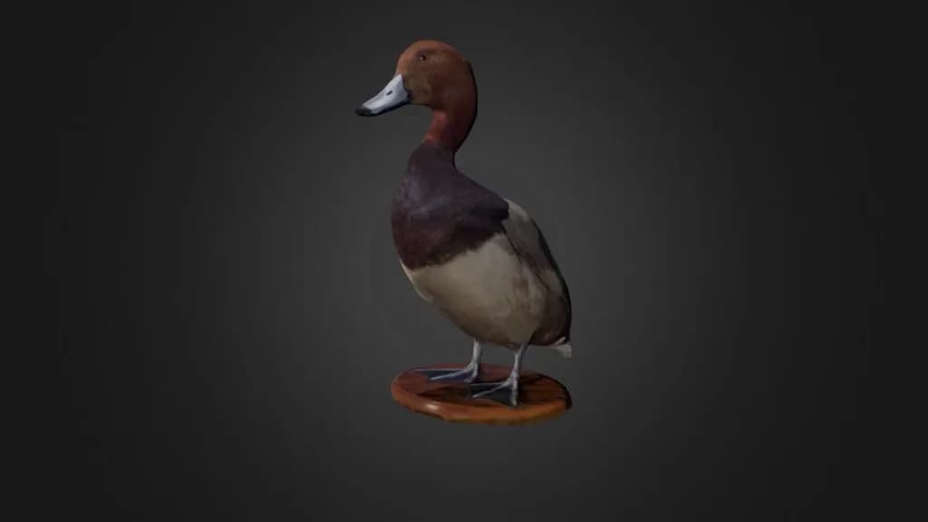 STL - Pato de cabeza rojiza