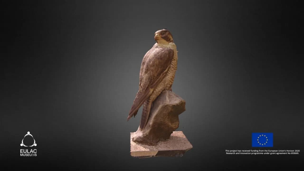 STL - Peregrine Falcon