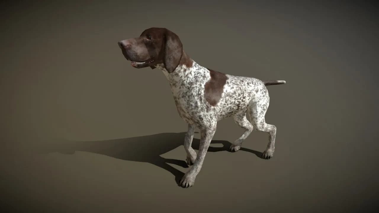 STL - Perro Pointer Alemán