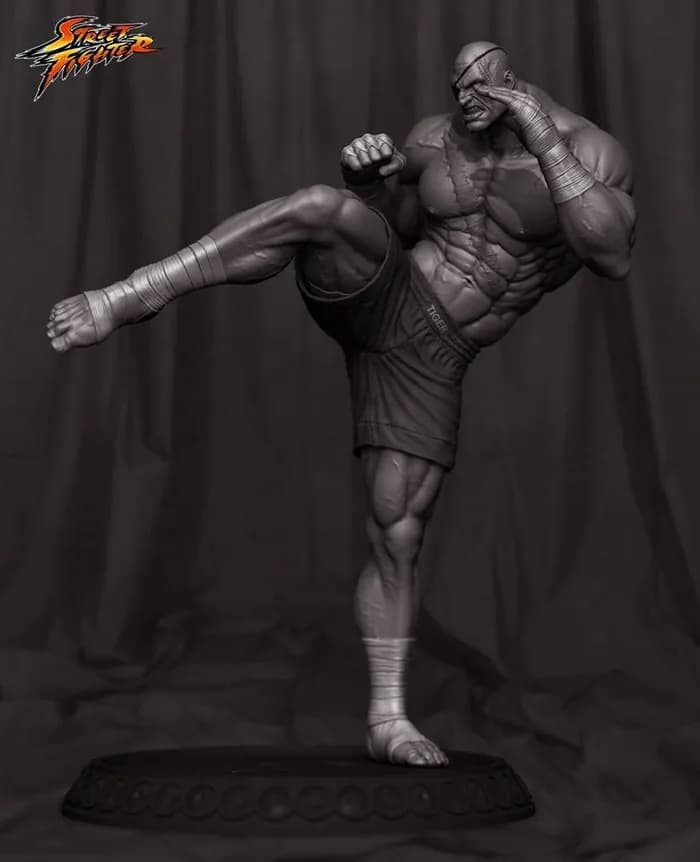 STL - sagat
