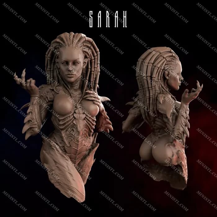 STL - sarah 4