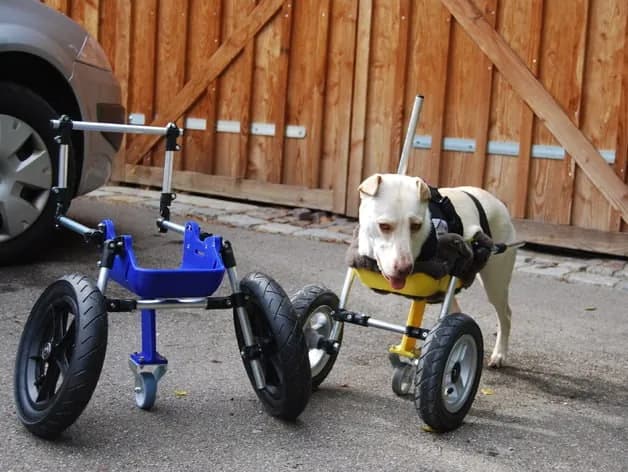 STL - Silla de ruedas para perros