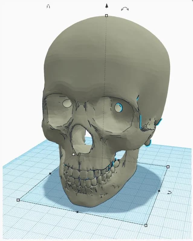 STL - Soporte de Calavera con Casco render 2