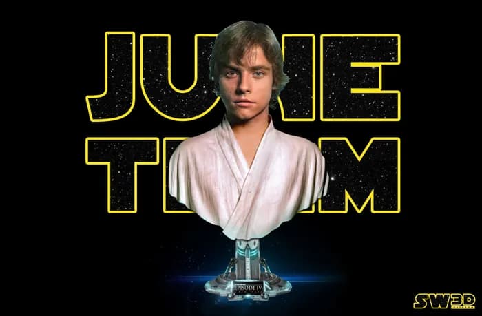 STL - sw3d luke portrait bust x
