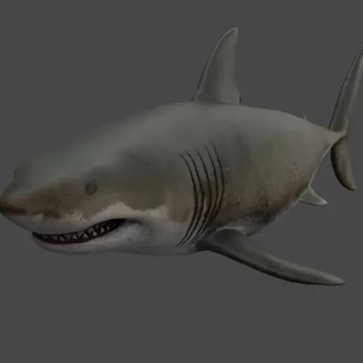 STL - Tiburón Blanco