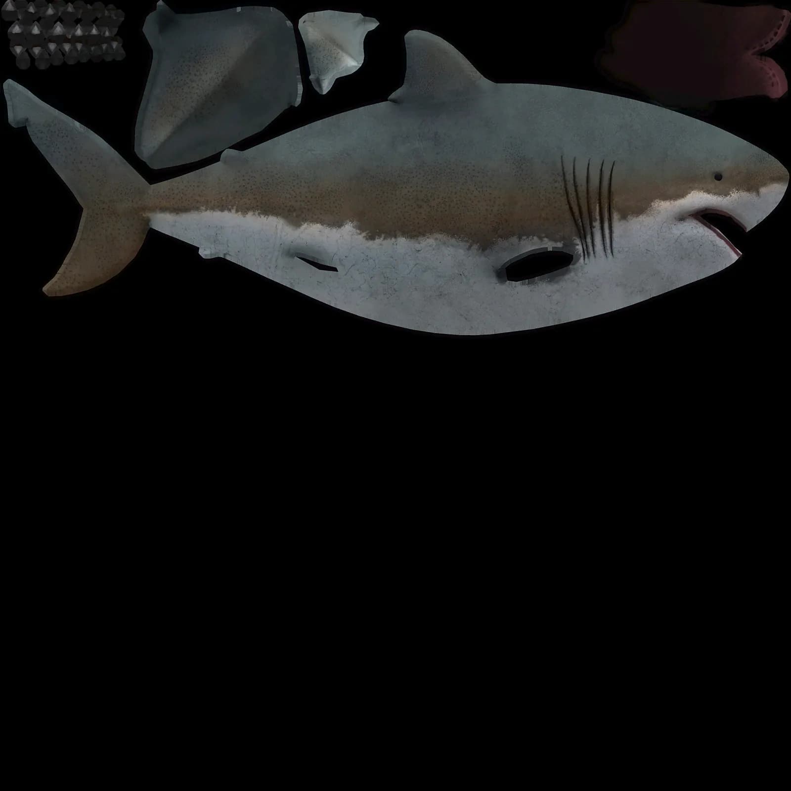 STL - Tiburón Blanco render 4