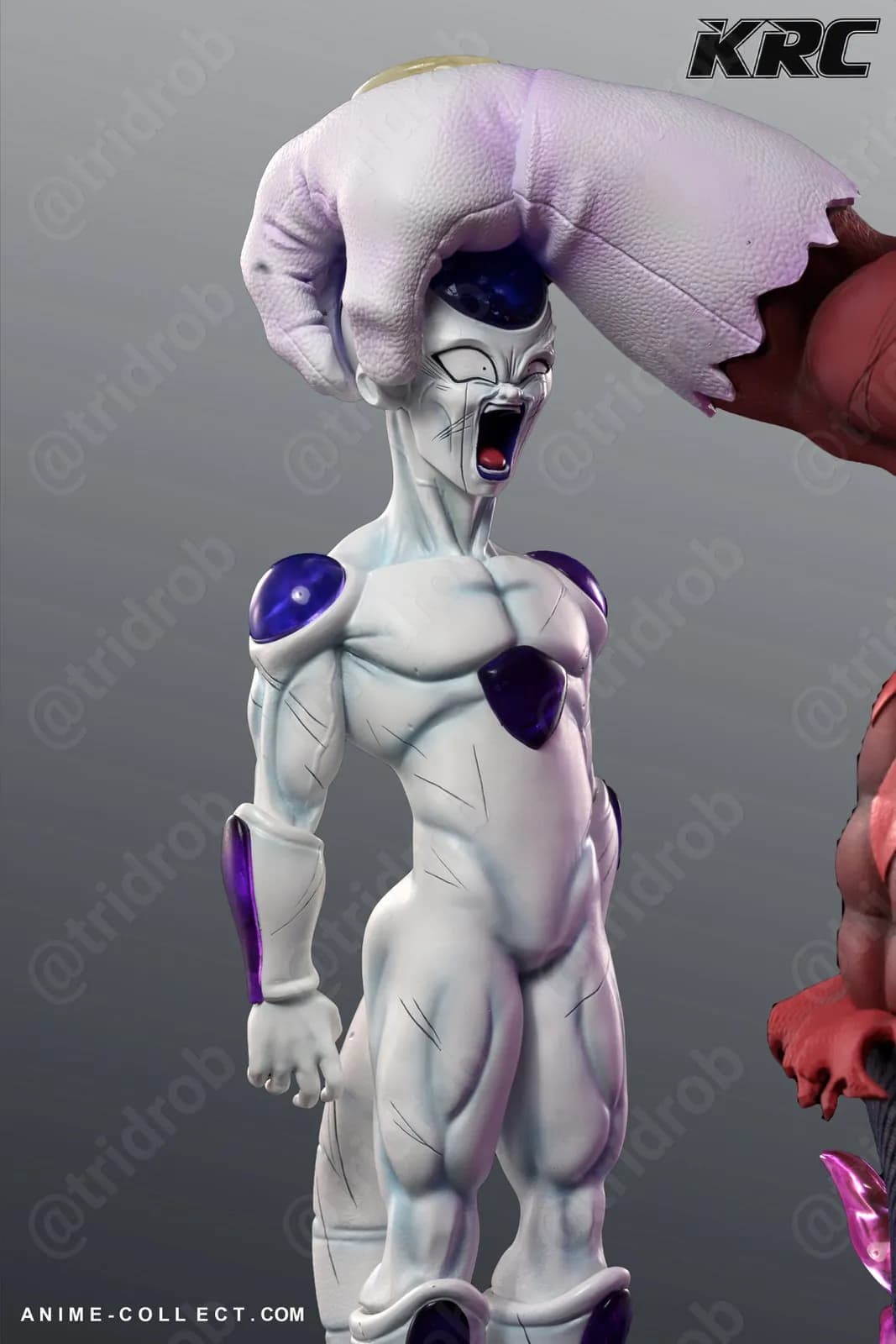 STL - Toppo vs Freezer render 4
