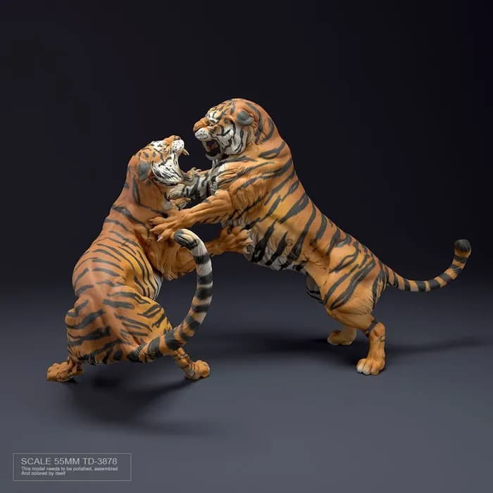 STL - stlbox bengal tigers fight