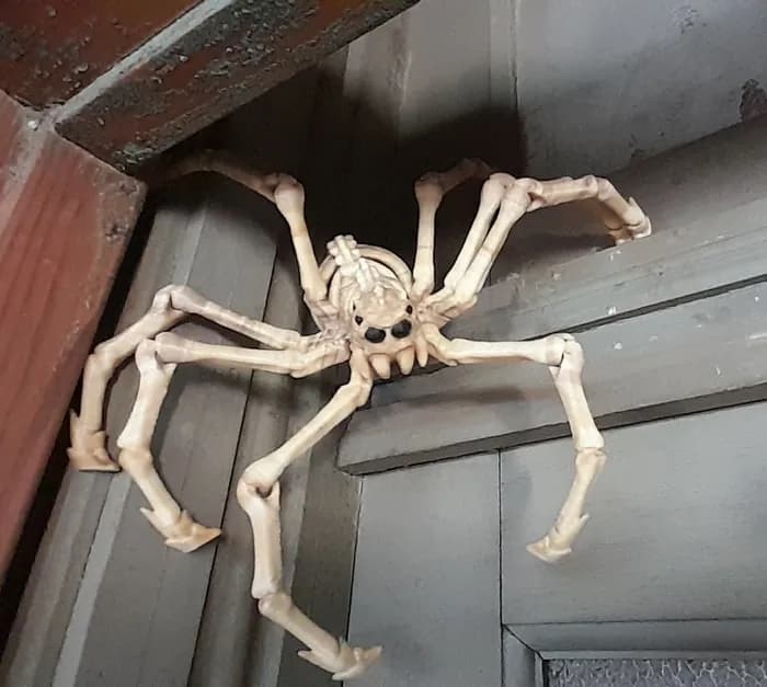 STL - tarantula calavera