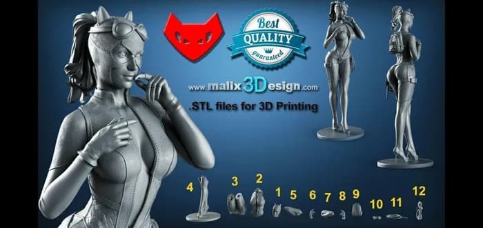 STL - catwoman sanix render 1