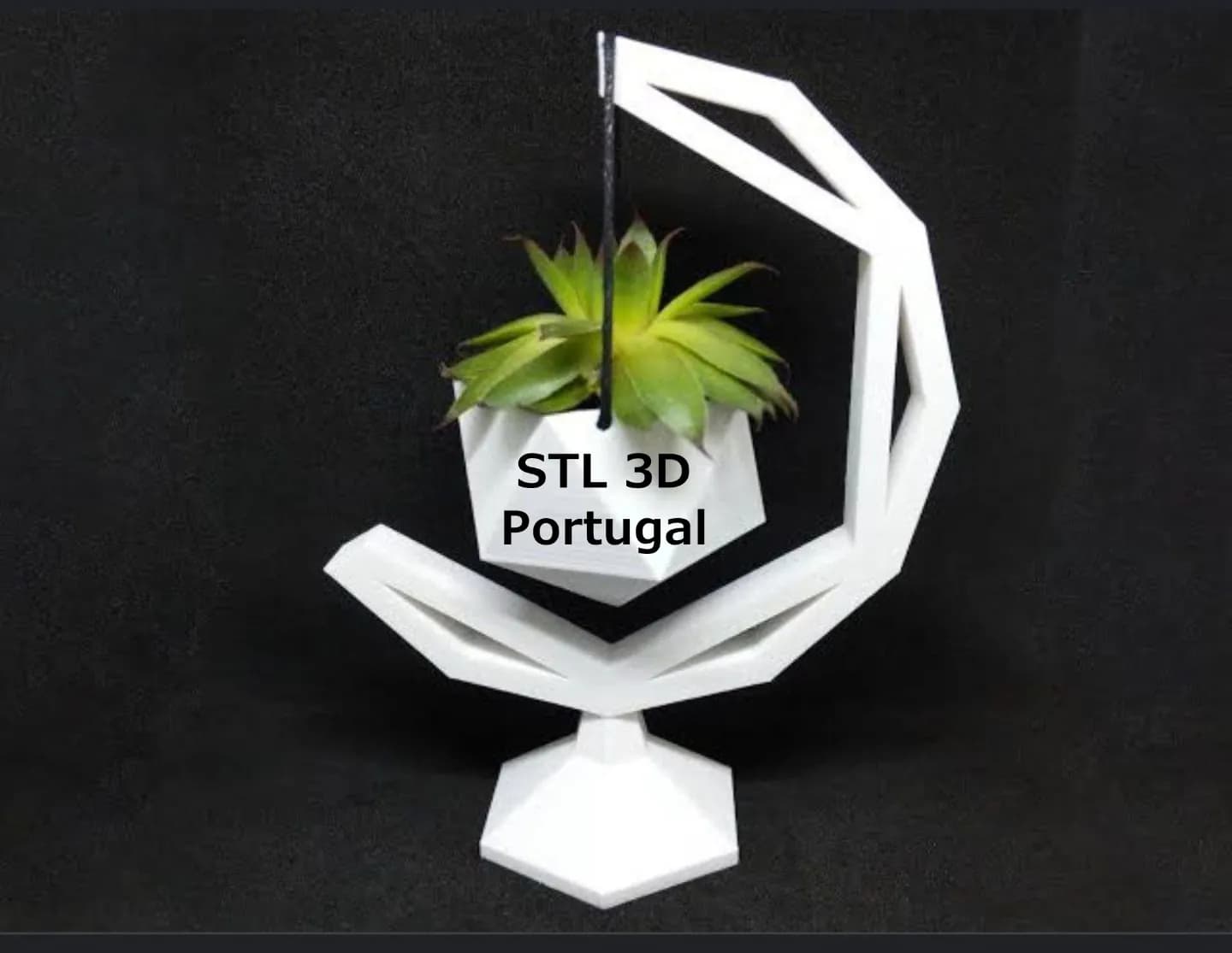 STL - Colgador de plantas de luna poligonal render 2