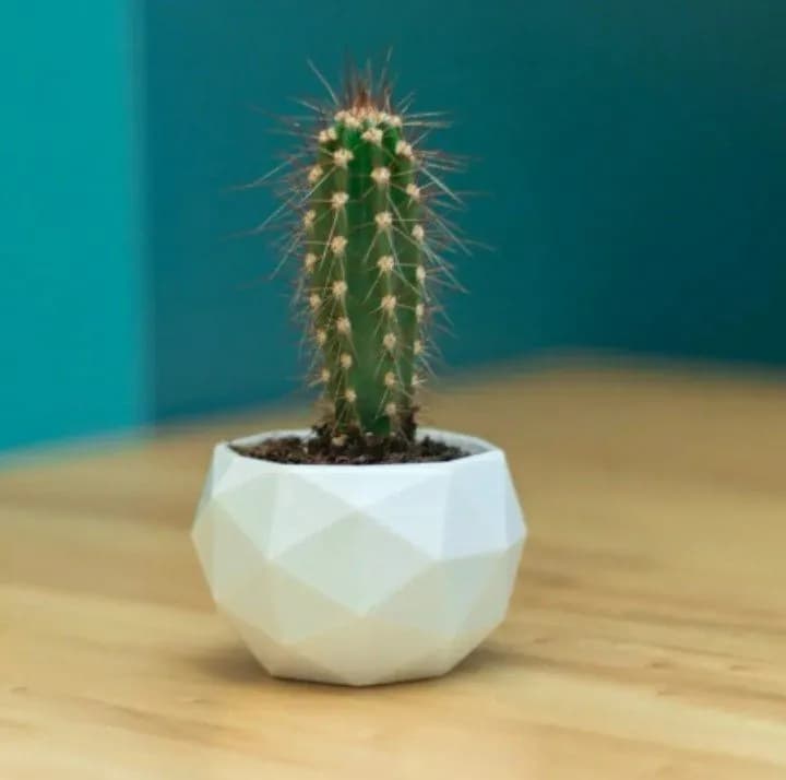 STL - Maceta baja de polígonos para cactus render 1