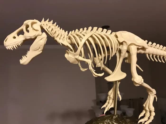 t rex skeleton fixed and printable model files