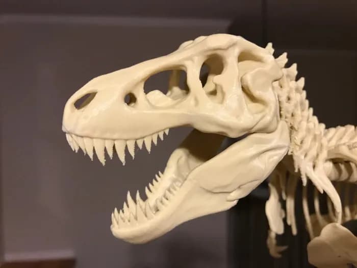 STL - t rex skeleton fixed and printable model files render 2