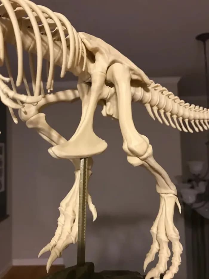 STL - t rex skeleton fixed and printable model files render 3